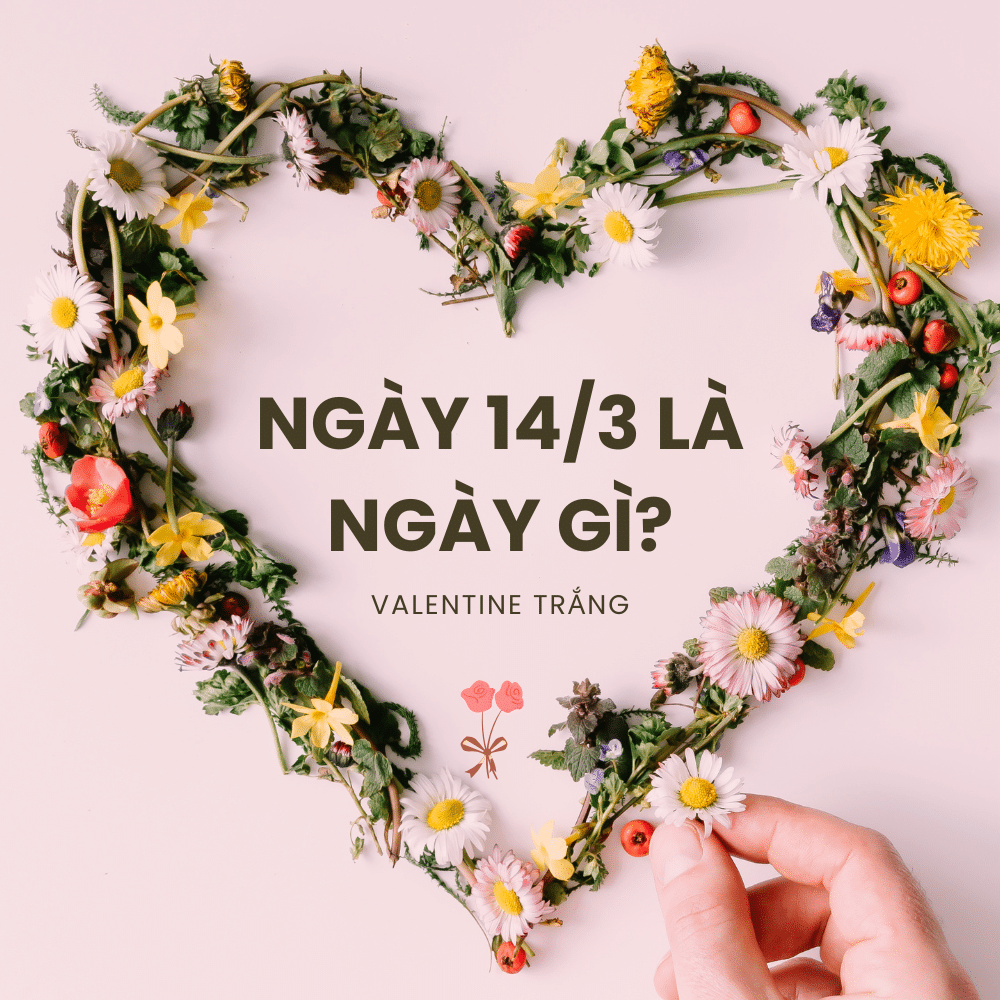 ngày 14/3 là ngày gì